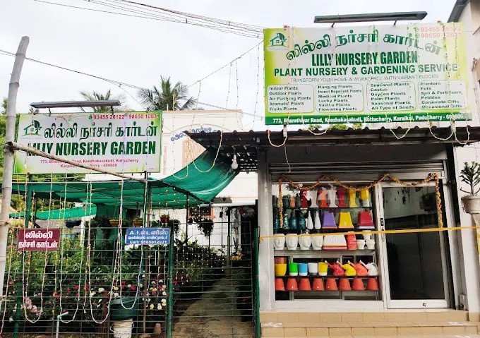 Lilly Nursery Garden