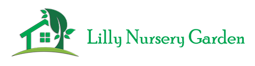 Lilly Nursery Garden