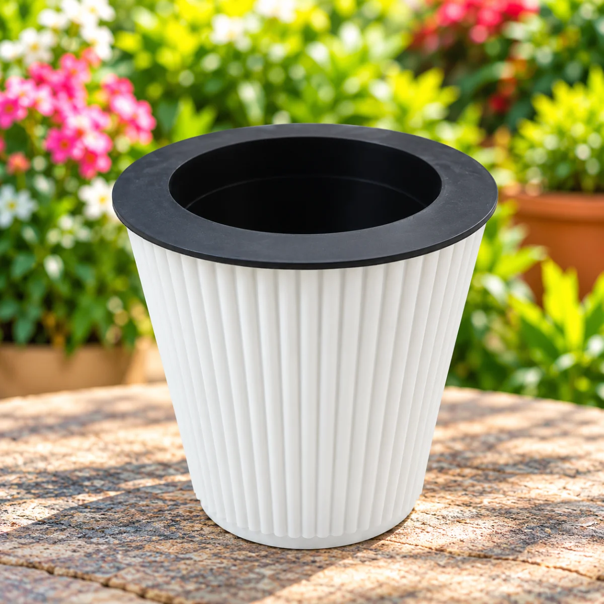 White-ribbed-planter-with-black-rim